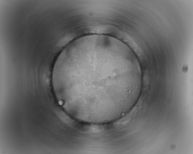 X0000102540305200808221935