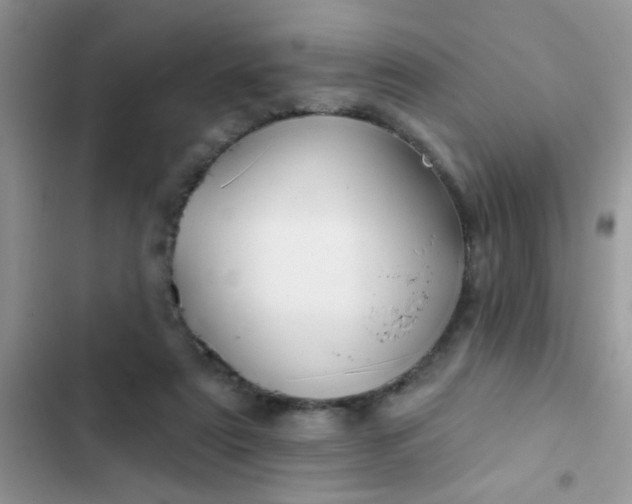 X0000102540307200808221935
