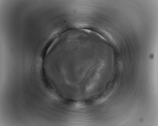 X0000102540308200808221935