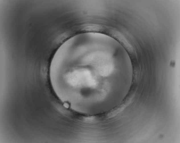 X0000102540309200808221935