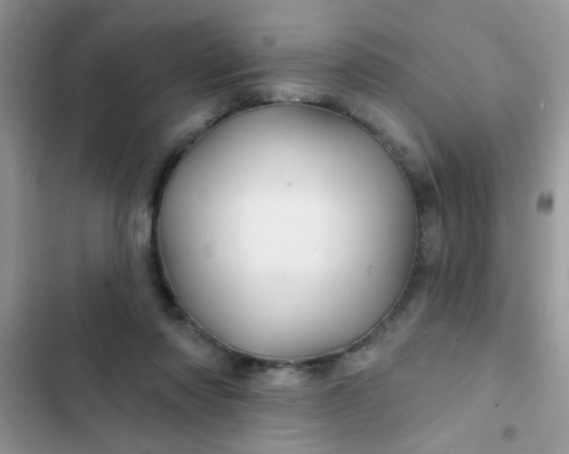 X0000102540310200808221935