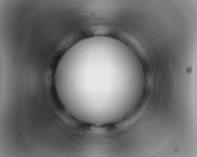 X0000102540311200808221935