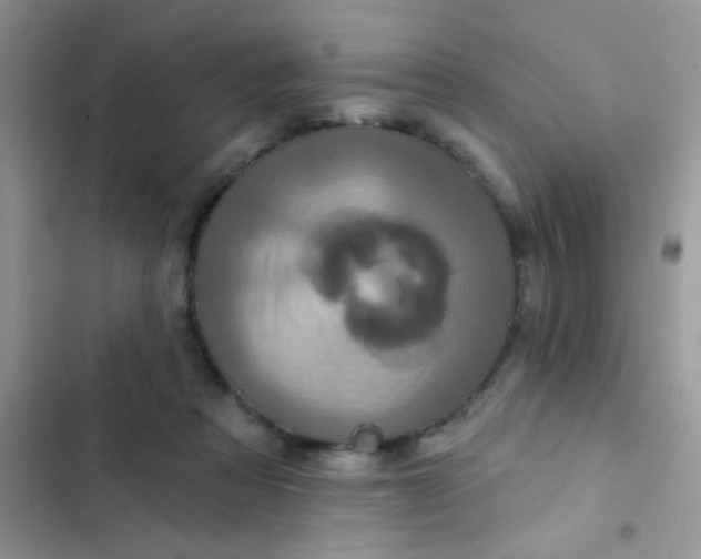 X0000102540313200808221935