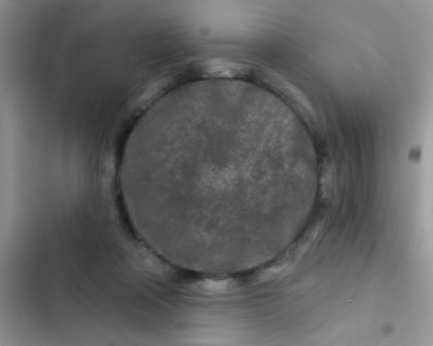 X0000102540314200808221935