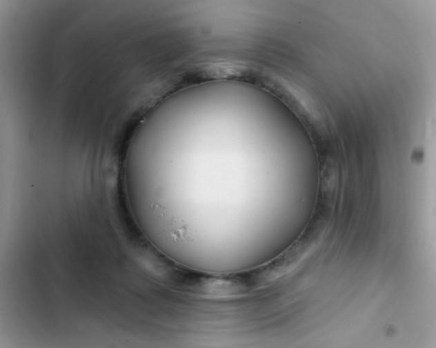 X0000102540315200808221935