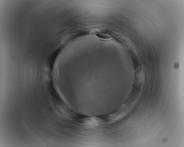 X0000102540316200808221935