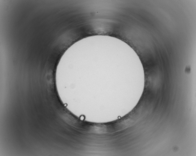 X0000102540317200808221935