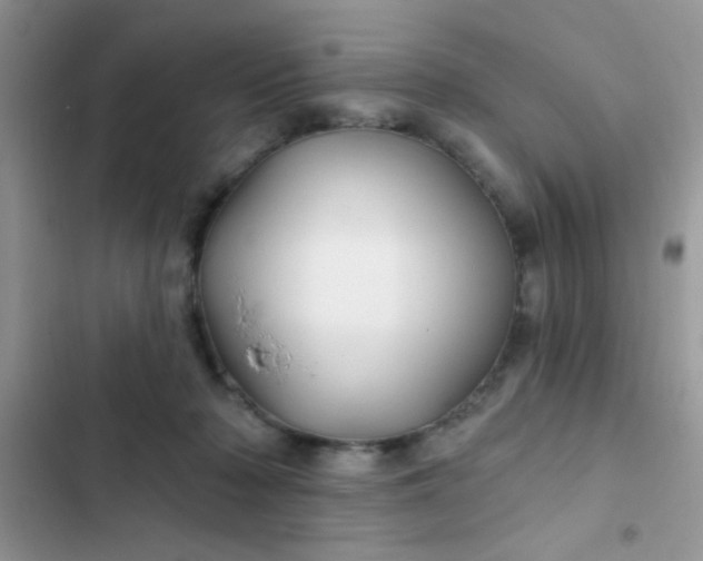 X0000102540318200808221935