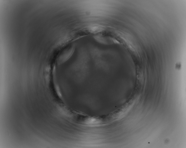 X0000102540319200808221935