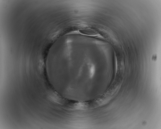 X0000102540320200808221935