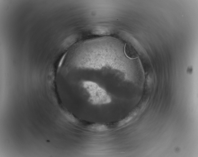 X0000102540322200808221935