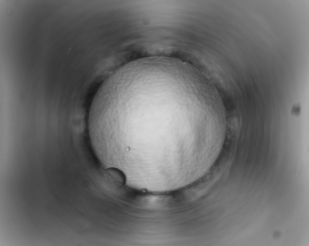 X0000102540323200808221935