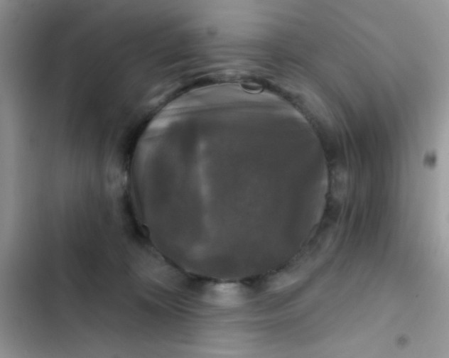 X0000102540324200808221935