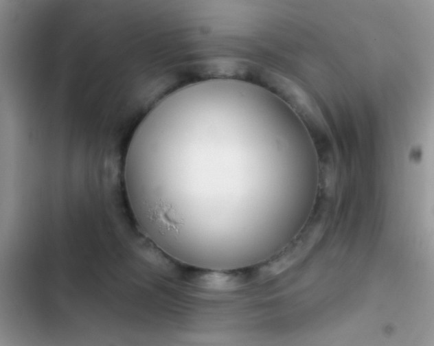 X0000102540326200808221935