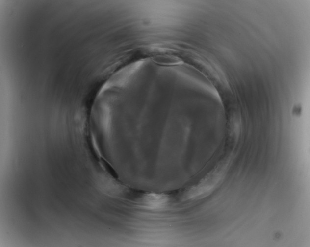 X0000102540328200808221934