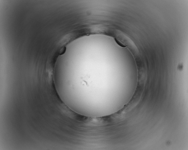 X0000102540329200808221934
