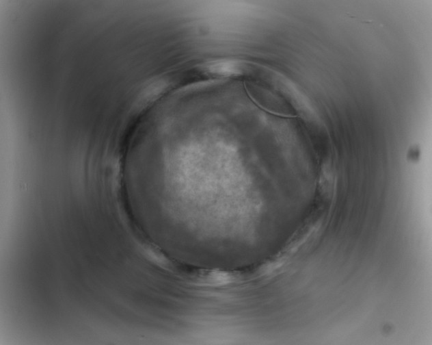 X0000102540330200808221934