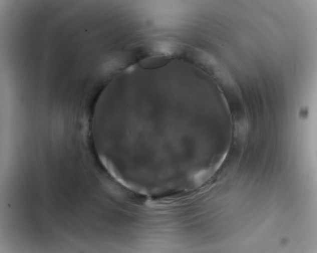 X0000102540331200808221934