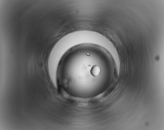 X0000102540332200808221934