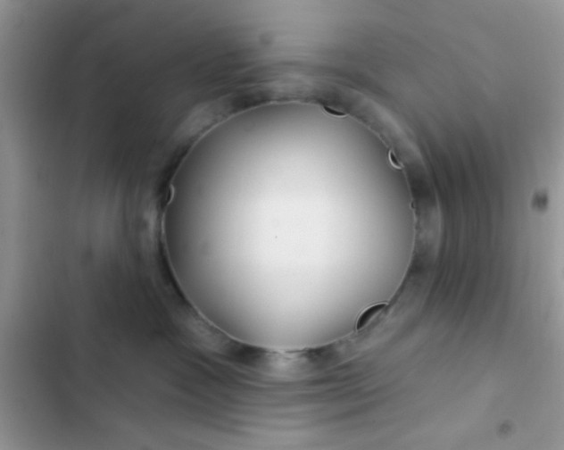 X0000102540333200808221934