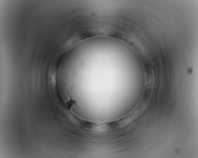X0000102540334200808221934