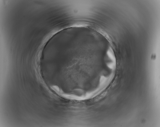 X0000102540337200808221934
