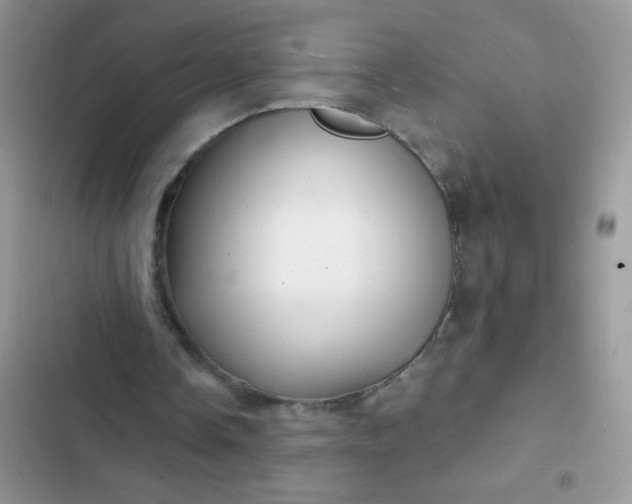 X0000102540338200808221934