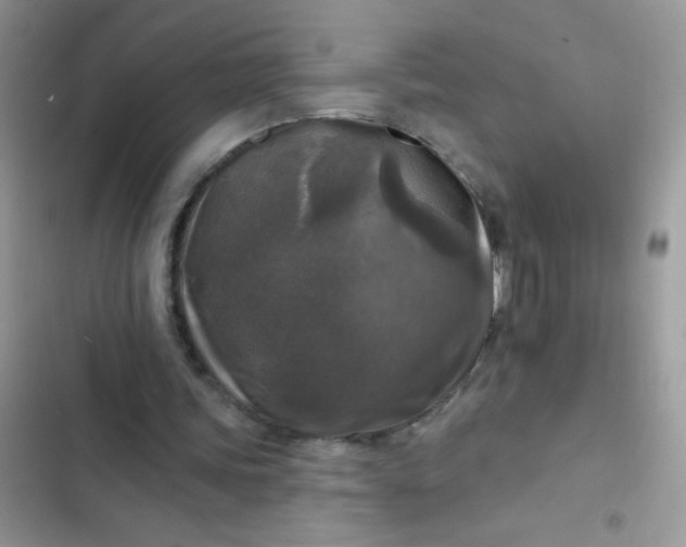 X0000102540339200808221934