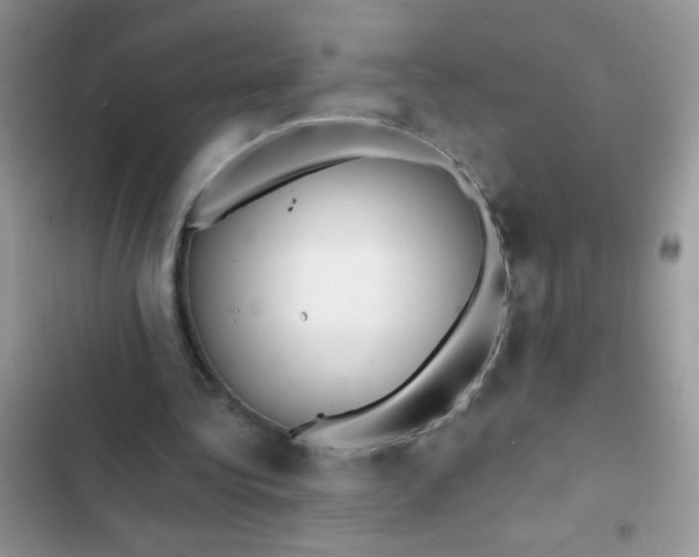 X0000102540340200808221934