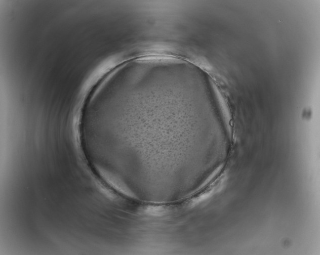 X0000102540341200808221934