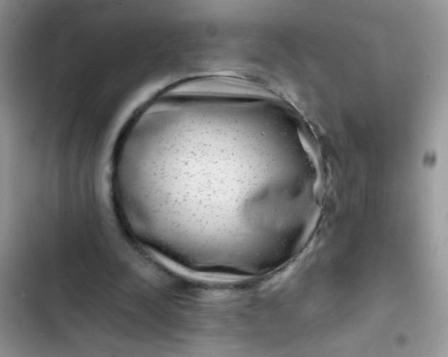 X0000102540342200808221934