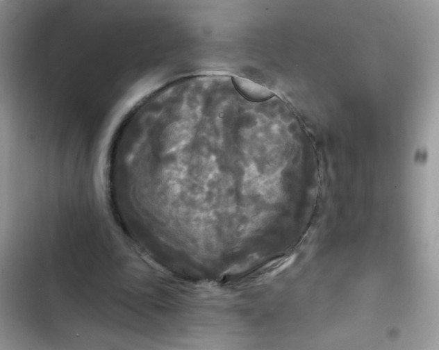 X0000102540343200808221934