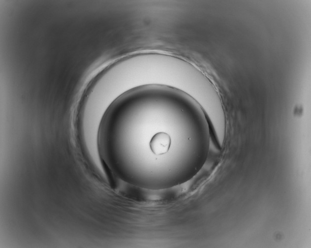 X0000102540344200808221934