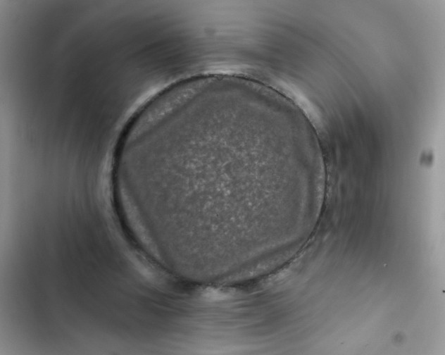 X0000102540346200808221934