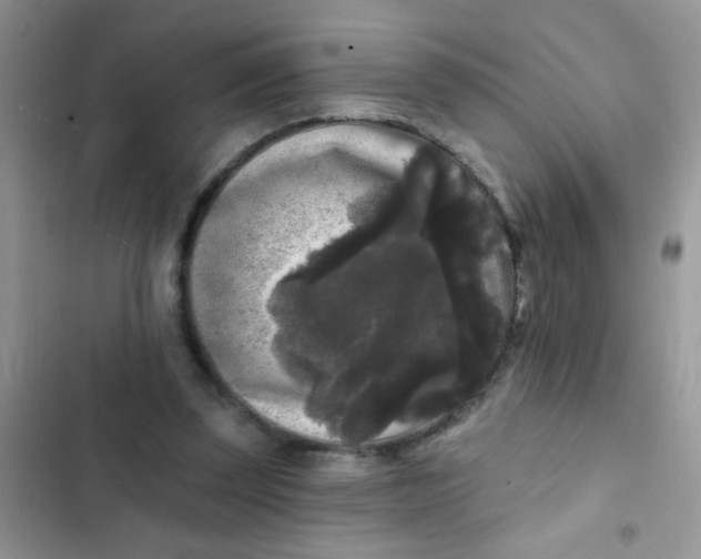X0000102540347200808221934