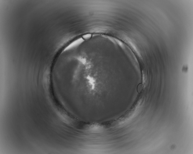 X0000102540348200808221934