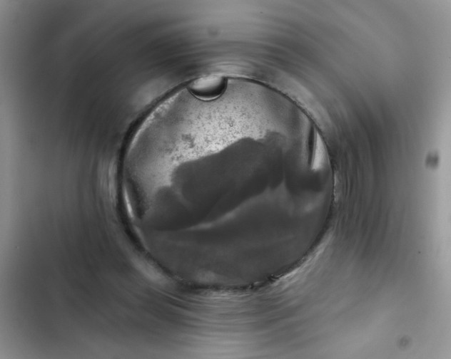 X0000102540349200808221934