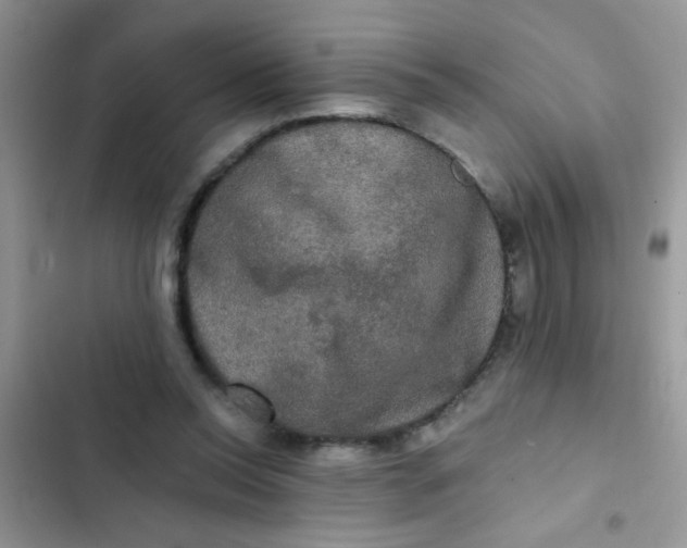 X0000102540350200808221934