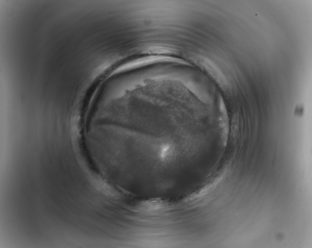 X0000102540351200808221934