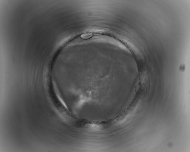 X0000102540352200808221934