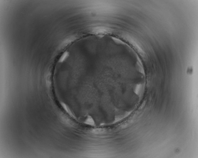 X0000102540353200808221934