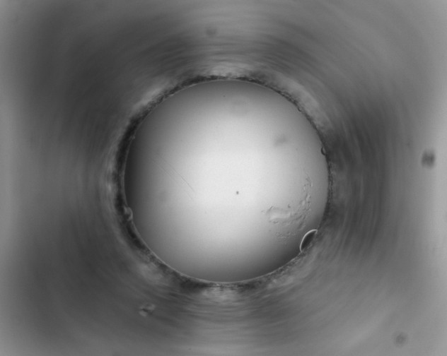 X0000102540354200808221934