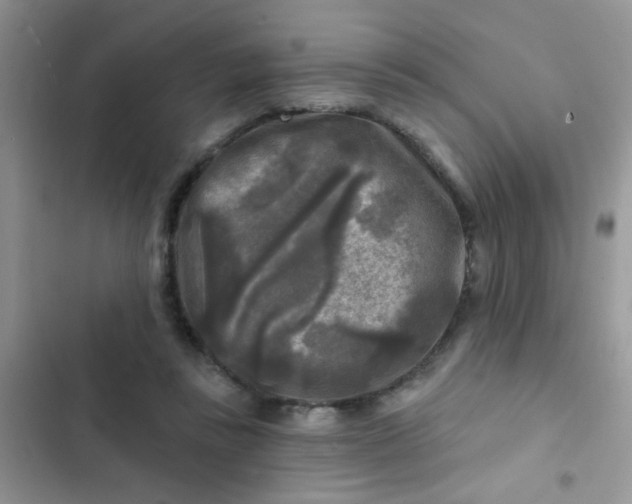 X0000102540355200808221934