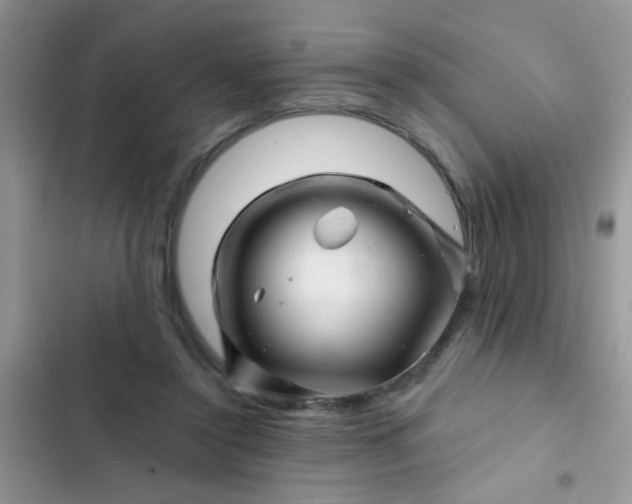 X0000102540356200808221934