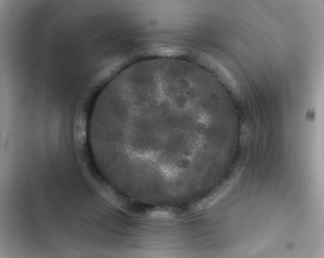 X0000102540358200808221934