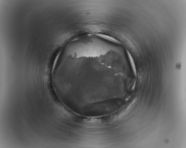 X0000102540359200808221934