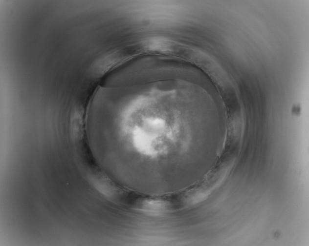 X0000102540360200808221934