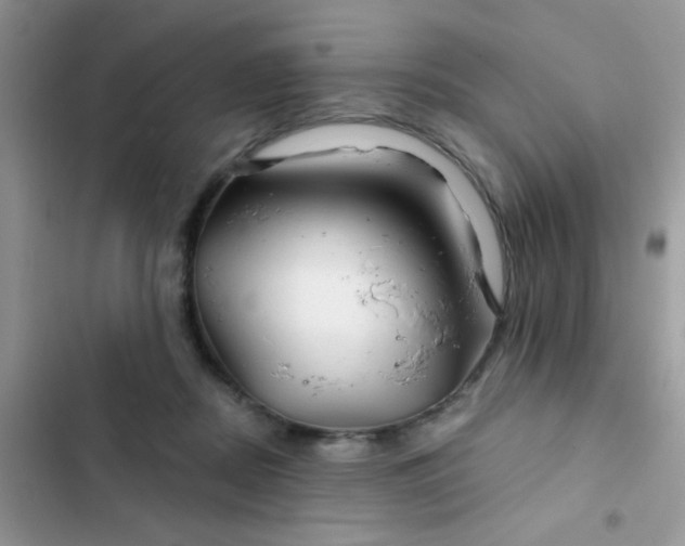 X0000102540362200808221934