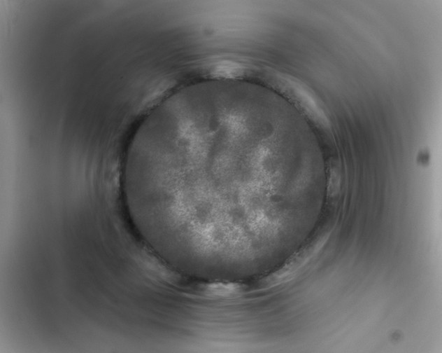 X0000102540363200808221934