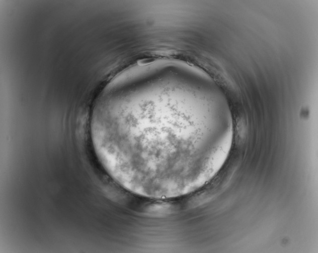 X0000102540364200808221934